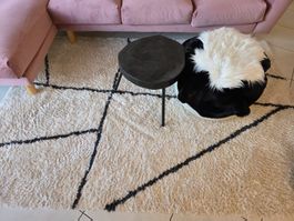 Moderner Teppich 160x230 creme + schwarz 🐾🌞🌹