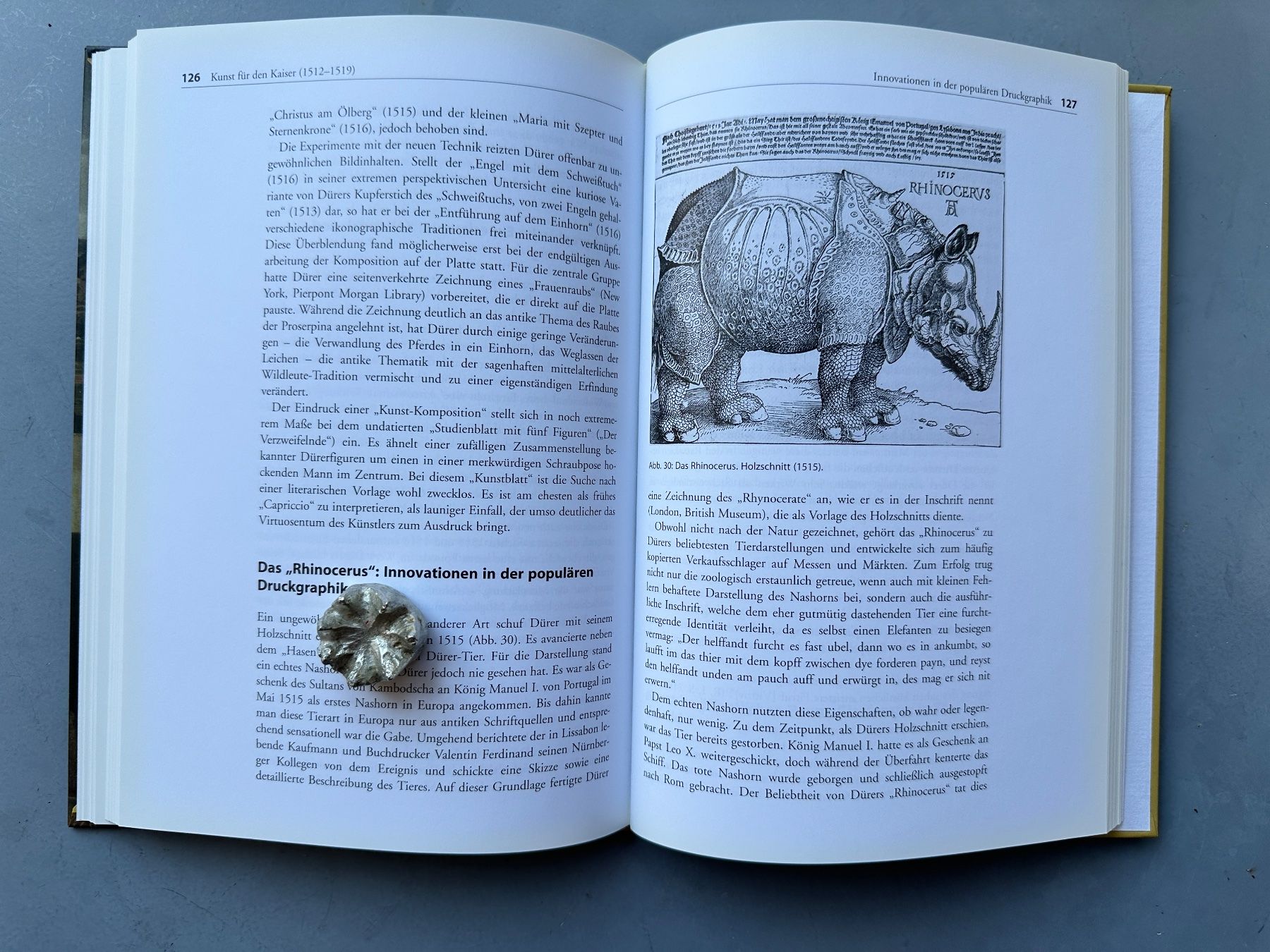 Libri: Anja Grebe: Albrecht Dürer. – Usato da Zürich venduto da allp 6