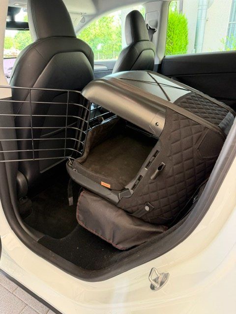 4pets Gabbie, trasporto & Sicurezza: 4pets Caree Transportbox – Usato da Ettingen venduto da swisstopdeal 2
