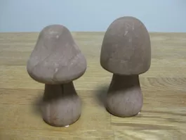 2 schöne Holz Pilzli
