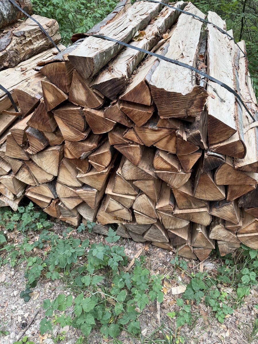 Holzartikel: Buchen Brennholz 26 Ster – Neu (gemäss Beschreibung) aus Liesberg Dorf von hur_ksp9