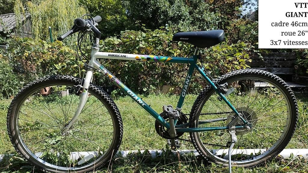 Biciclette: Vélo VTT Giant – Usato da Genève venduto da vel_r2wy