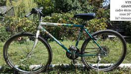 VTT Giant