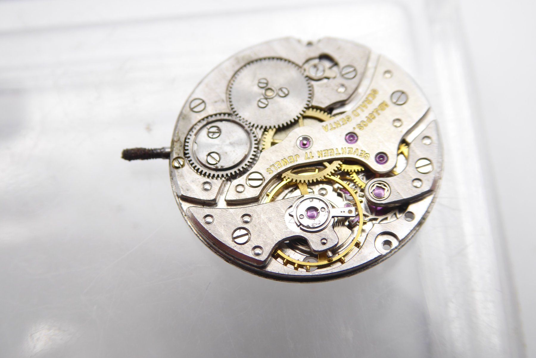 Orologi: Gerald Genta manual wind mouvement cal.21 FP – Usato da Geneve venduto da adr_xk6n 8