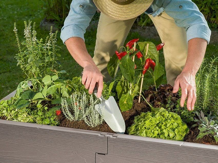 Pots de fleurs: Juwel Hochbeet TIMBER – Neuf avec emballage d'origine à Bottighofen par zaap 5