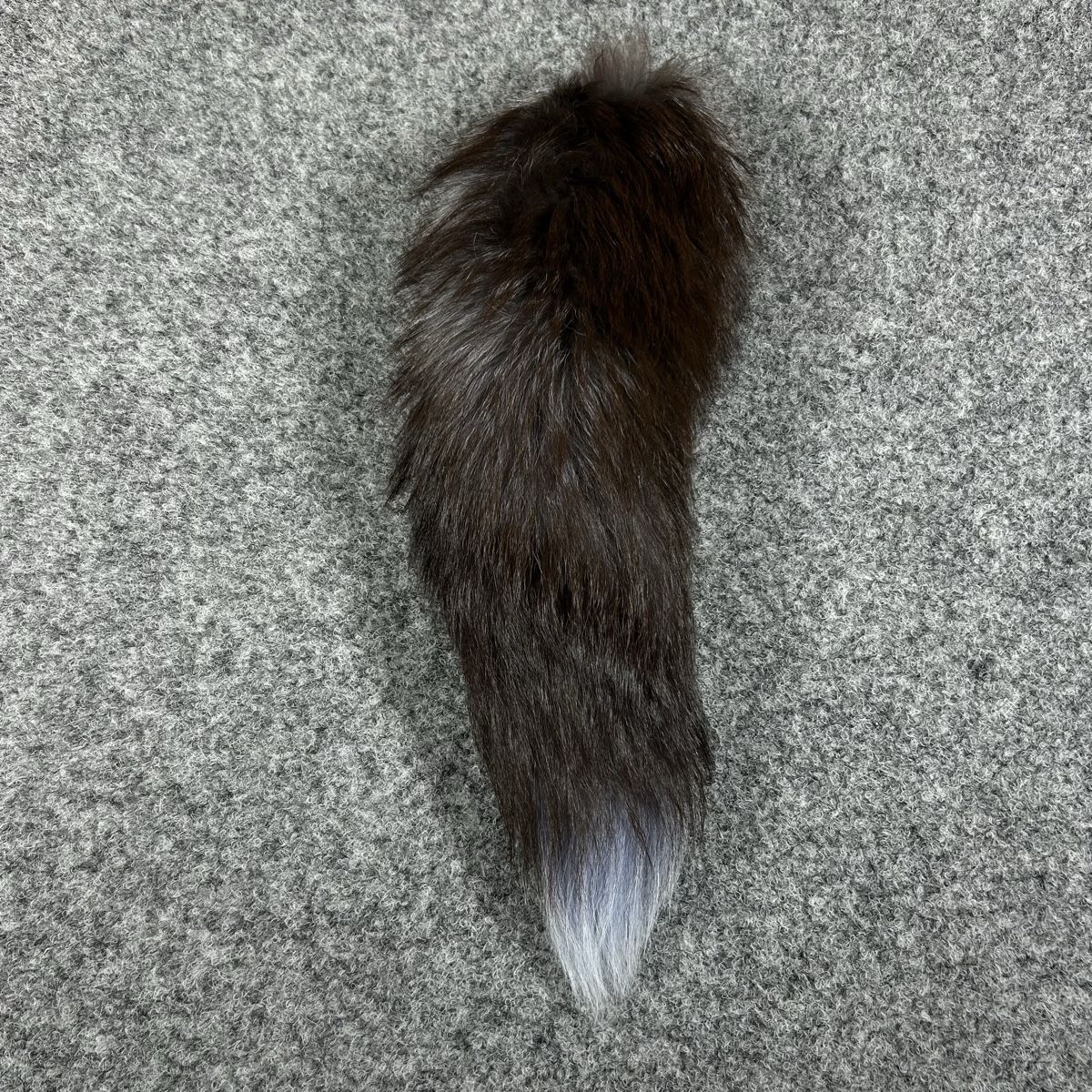 Welt der Tiere: Grey fox Keyed  – Neu (gemäss Beschreibung) aus La Sagne NE von Matlasape