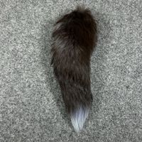 Grey fox Keyed 