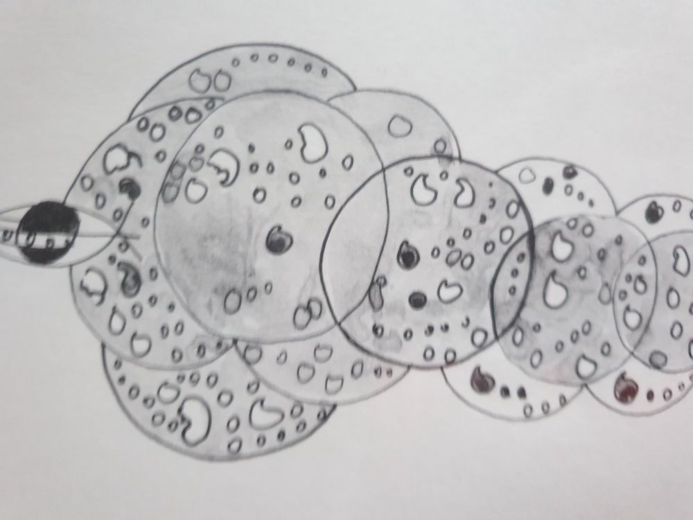 Lithographie / Paul Cartier 4