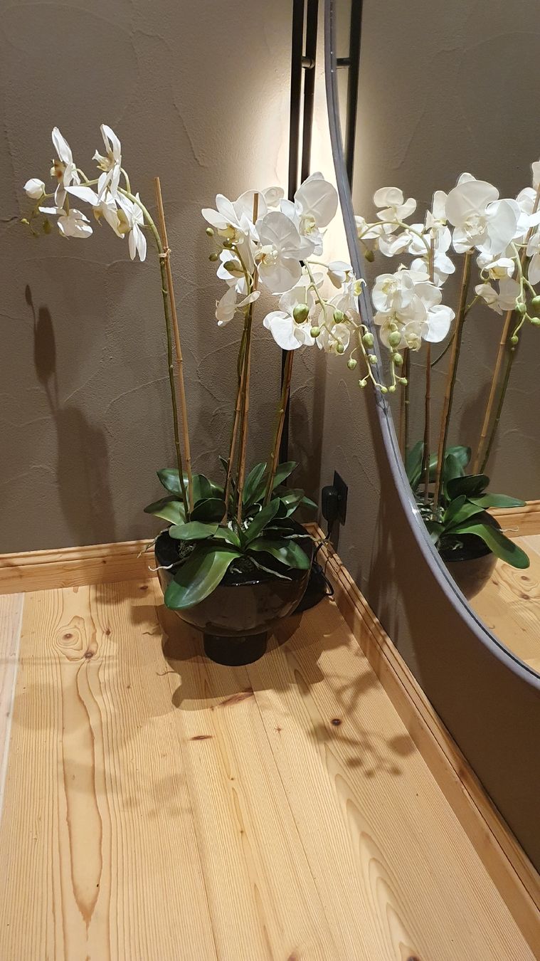 Tutte le decorazioni: Wunderschöne Kunst-Orchidee im Topf – Usato da Kölliken venduto da Jonalu 1