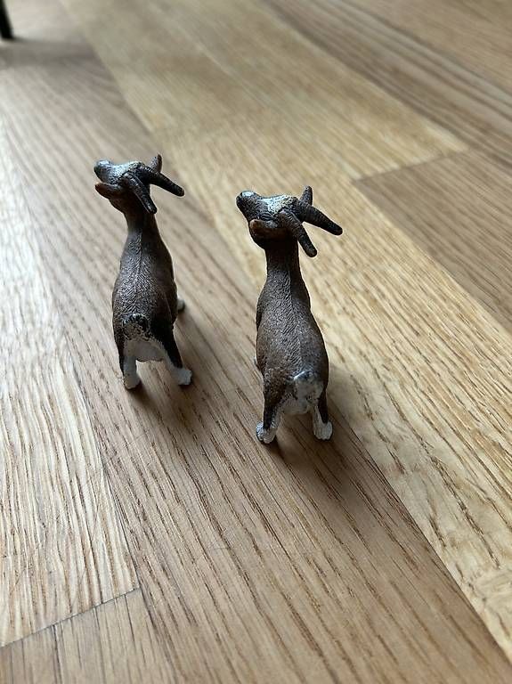 Schleich Giocattoli: Schleich-Set Ziegen – Usato da Rüfenacht BE venduto da Claudia_sch 1