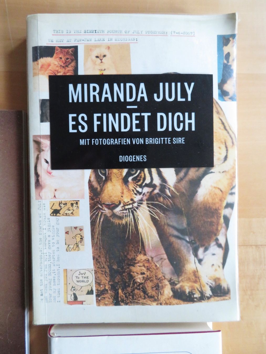 Libri: Miranda July – Usato da Bern venduto da mordswein 1