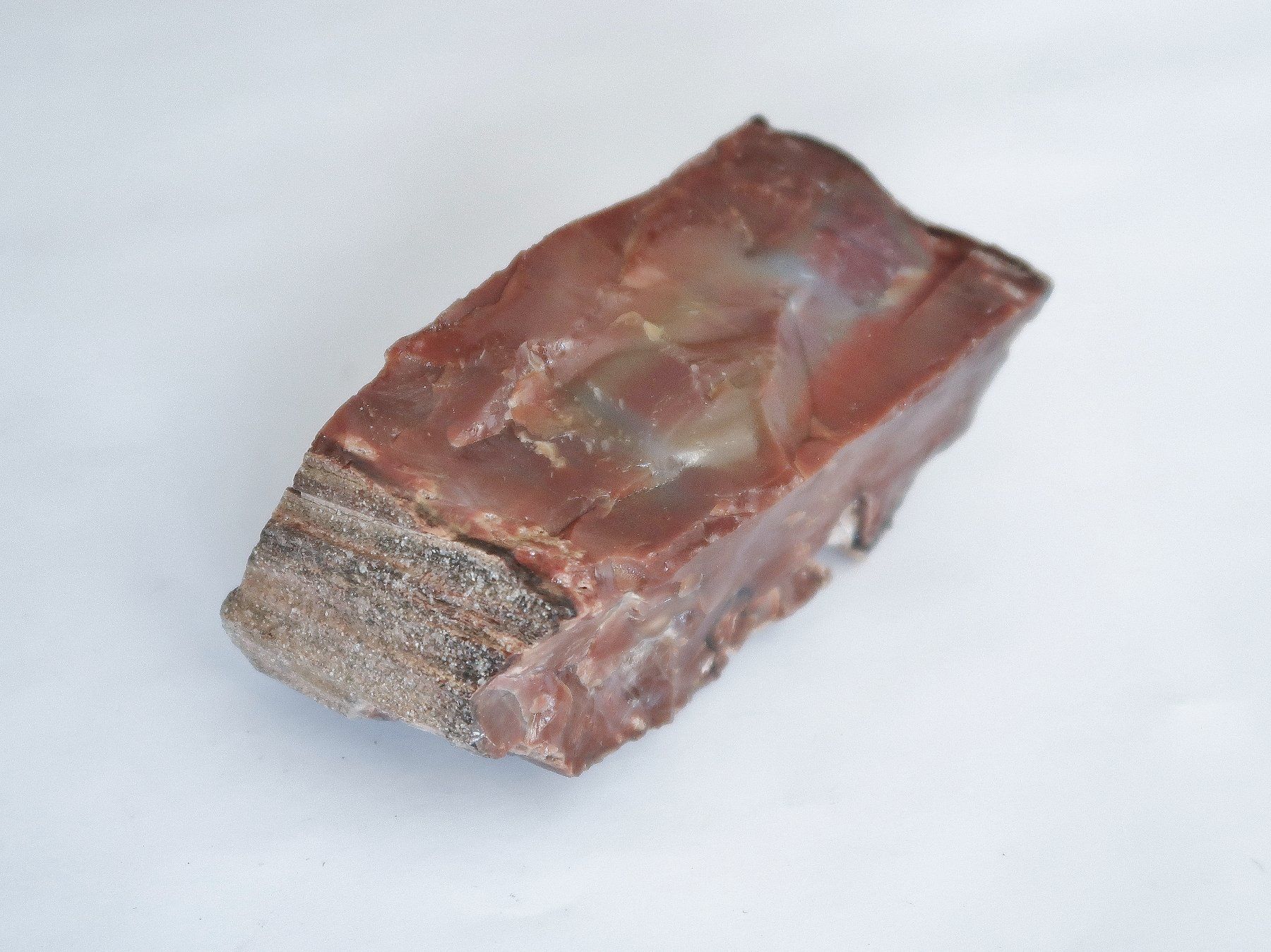 Fossilien: Stück versteinertes Holz – Gebraucht aus Luzern von eAladin 3
