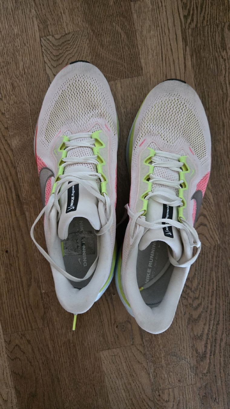 Nike Chaussures femmes: Nike Pegasus 41 Grösse 43 – D'occasion à Mönchaltorf par mic_m72h 2