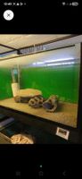 250 Liter occasion Aquarium