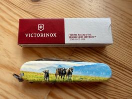 Spartan Kuh, Braunvieh, Vieh, Brauchtum Victorinox, cow