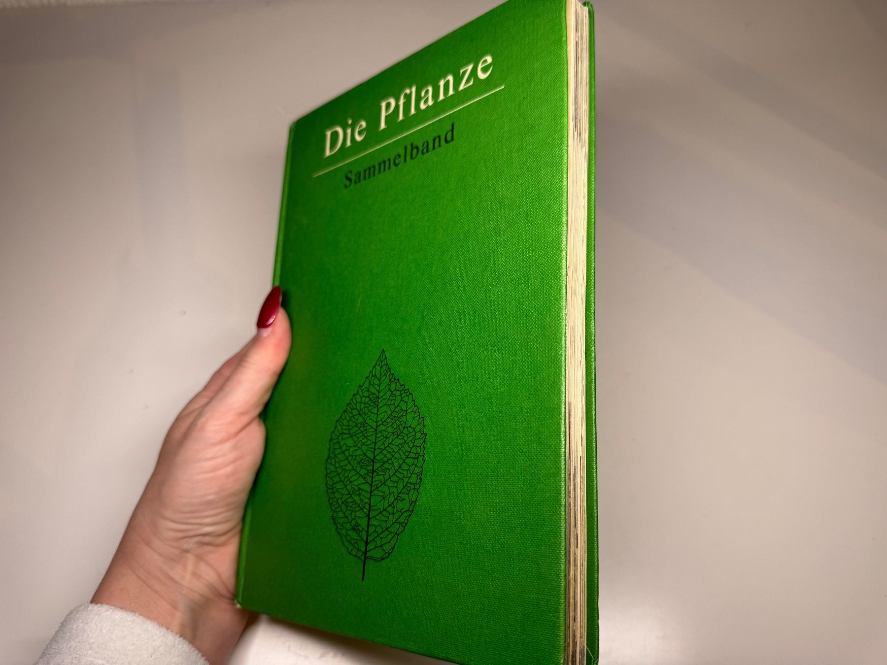 Libri: BUCH: Die Pflanze Sammelband – Usato da Grosswangen venduto da Second_hand_paradise 1