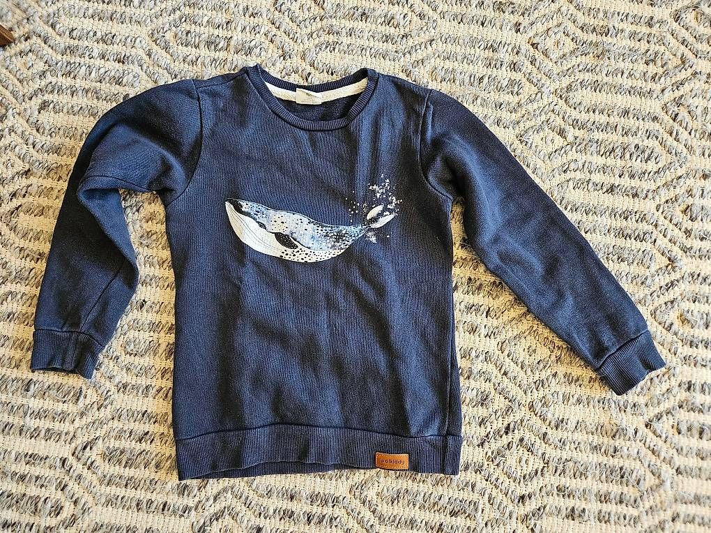 Ensembles coordonnés: Jungen Kleiderpaket, Grösse 110-116 – D'occasion à Nussbaumen AG par Ralix 1