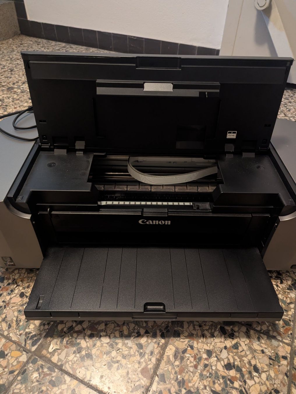 Canon Stampanti: Canon Pixma Pro-100S Drucker – Usato da Basel venduto da ili_j29z 3