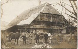 Landwirtschaft/Bauernfamilie 1910 Pferd+Kuh BE?