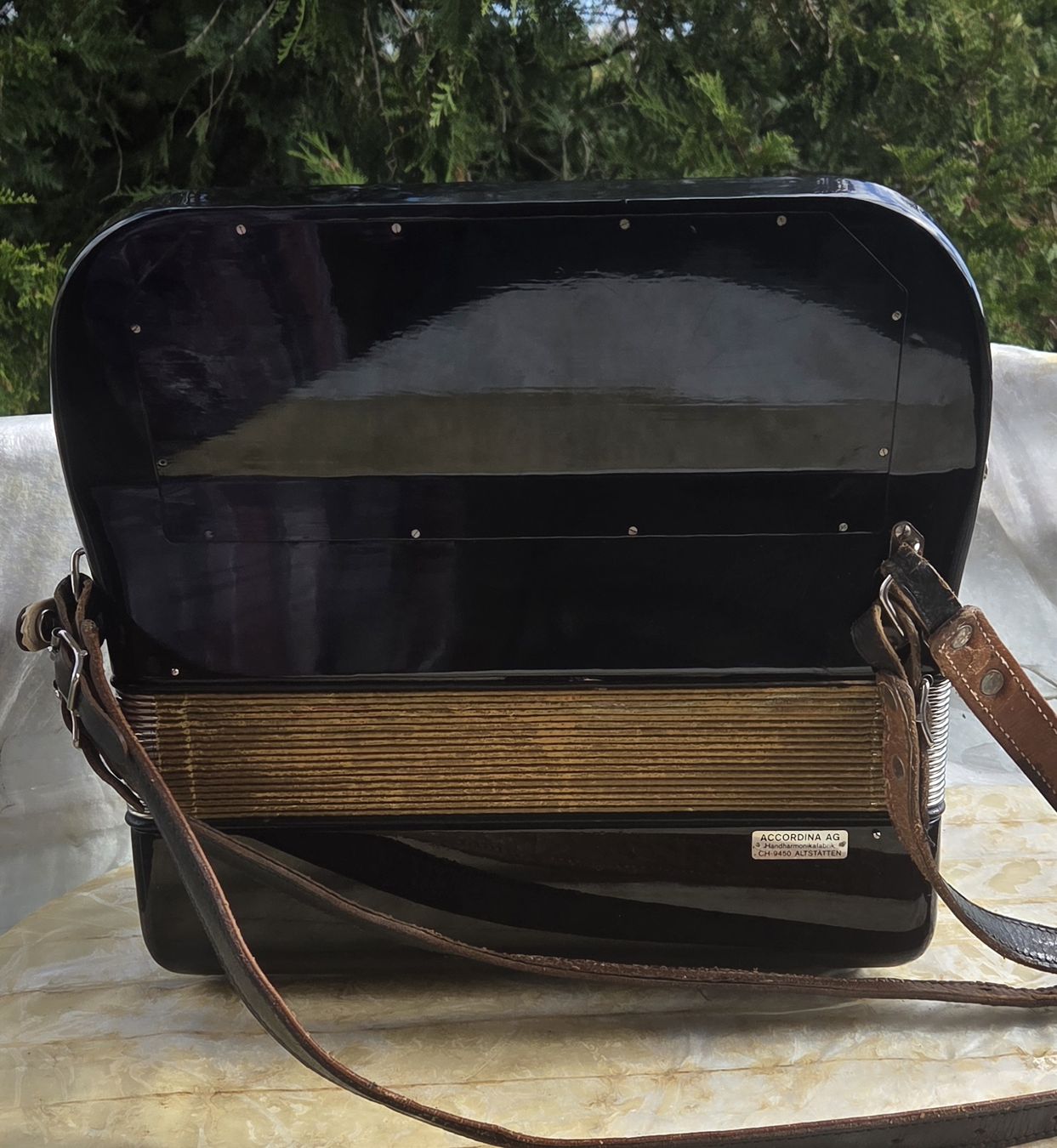 Hohner Strumenti musicali: Accordéon hohner Norma IV – Usato da Penthalaz venduto da EvandroLuz 3
