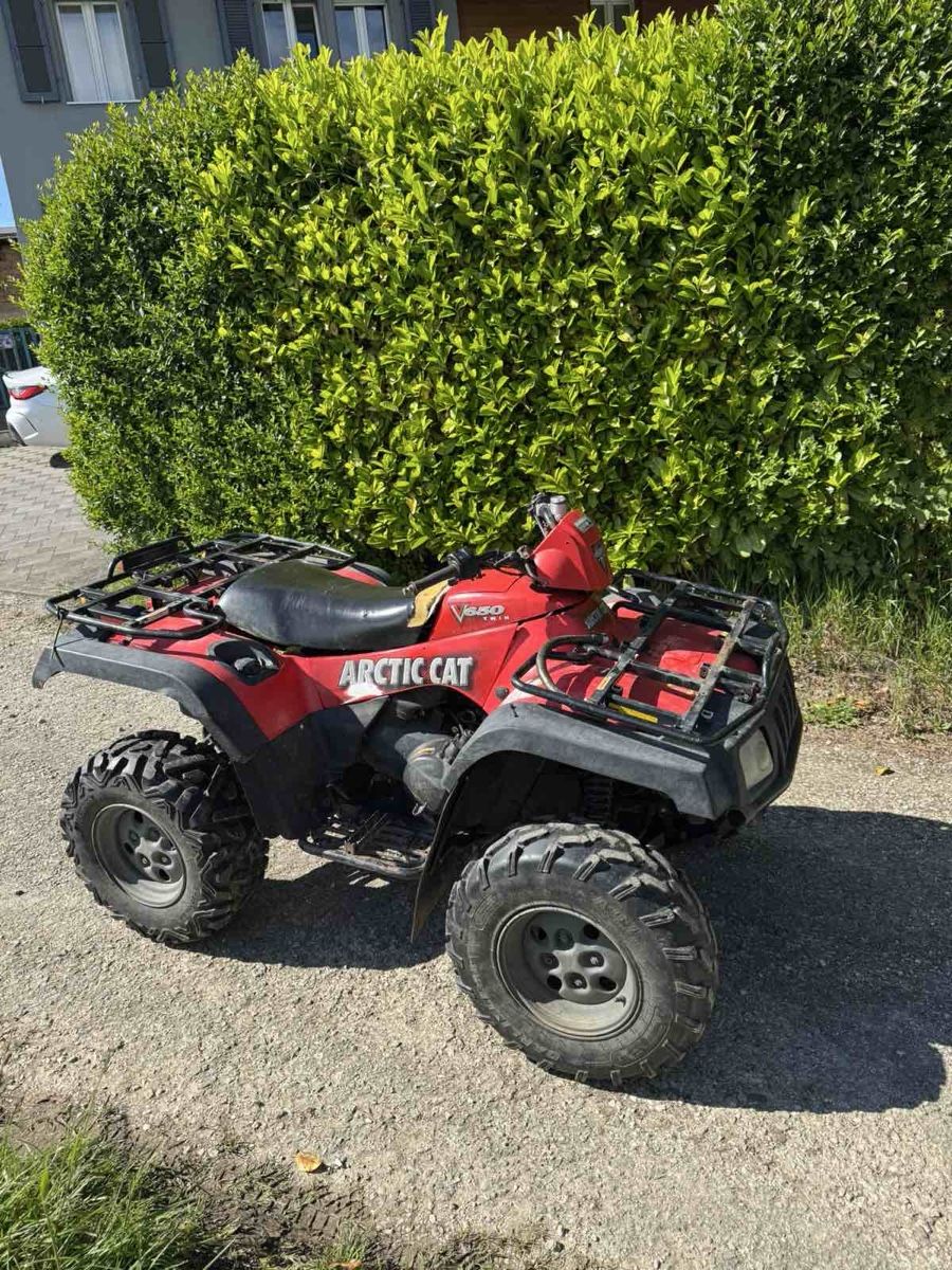 Arctic Cat ATVs / Quads: Quad 650cc cat – Gebraucht aus St-Aubin FR von paj_5vn2