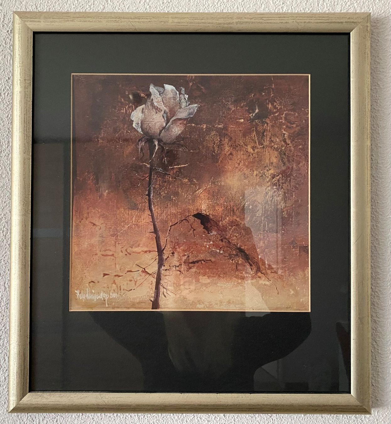 Foto & Immagini: 2 Bilder 45x49cm mit Rosenmotiv – Usato da Reichenburg venduto da Noxima 1