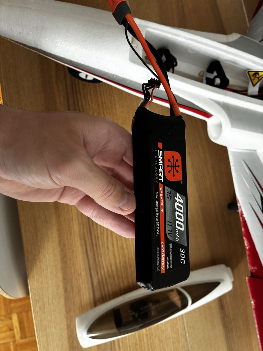 E-Flite Modellismo RC: Eflite Habu STS jet  – Usato da St. Gallen venduto da Lhoigor 4