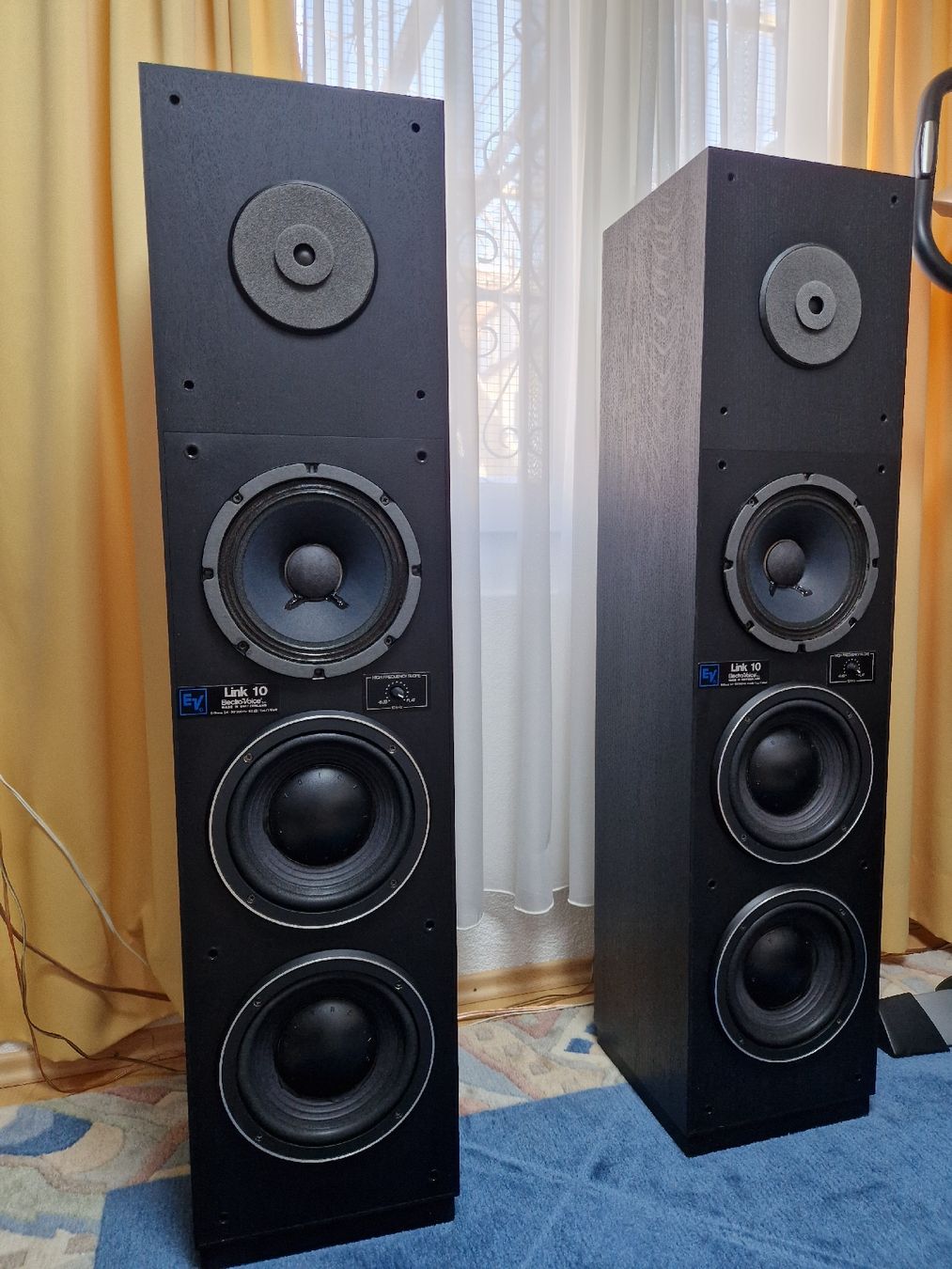 Electro-voice Casse acustiche: Elektro Voice Link 10 – Usato da Arbon venduto da Mayak_Sound