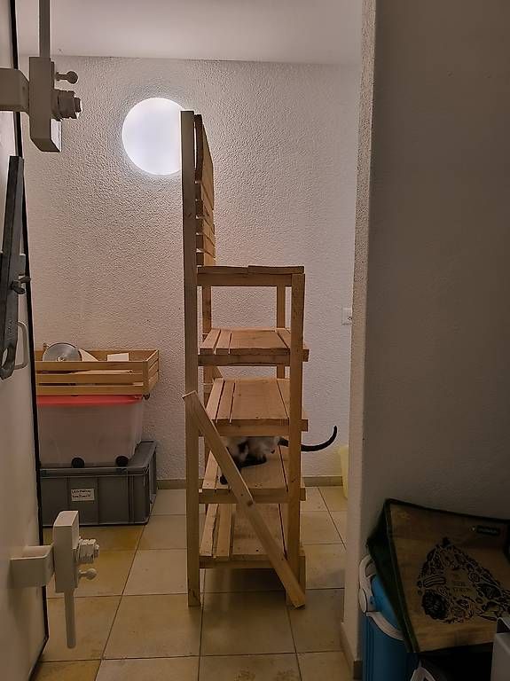 Scaffali: Massives Kellergestell - Schwerlastregal Eigenbau – Usato da Unterkulm venduto da Paulinchen64 2