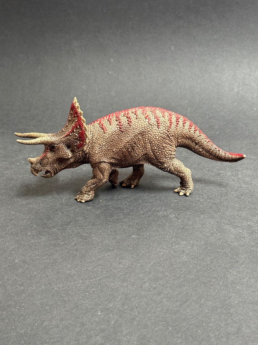 Schleich Statuette: Schleich Triceratops Dinosaurier Dino – Usato da Ennetbaden venduto da mapa05
