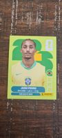 Panini Joao Pedro Bra 16