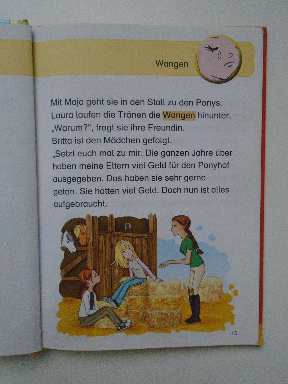 Bücher: Ponyhof-Geschichten: das Sommerfest +Thilo – Gebraucht aus Pfeffingen von Intertandem 2