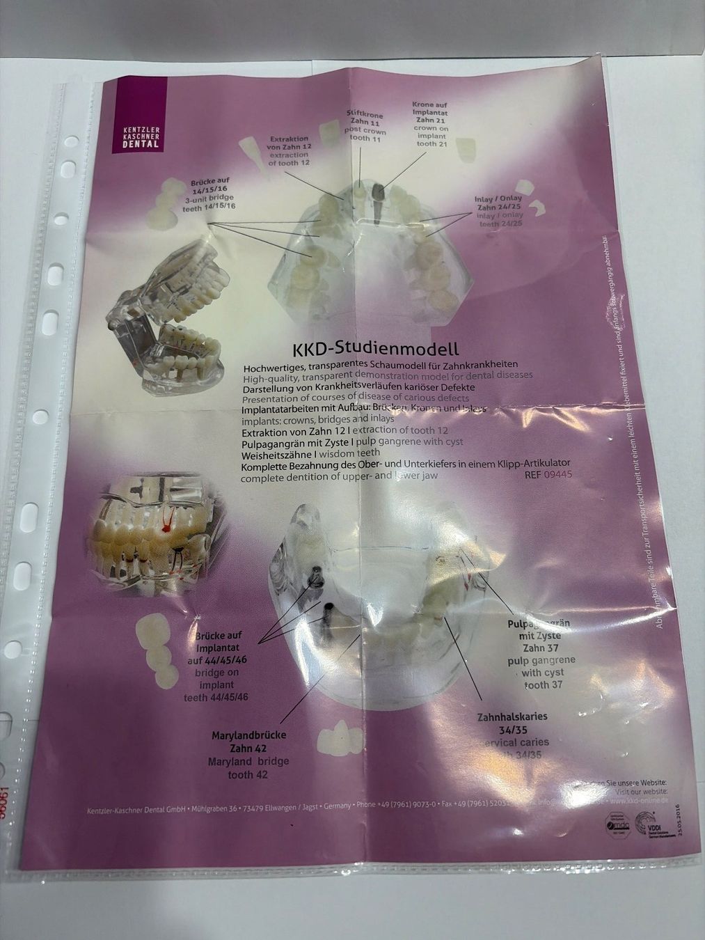Soins dentaires: KKD Studien Modell REF 9445 Zahnmodel – Neuf avec emballage d'origine à Uster par oranger_pulli 6