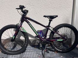 Orbea MX 20 Kids Bike Purple