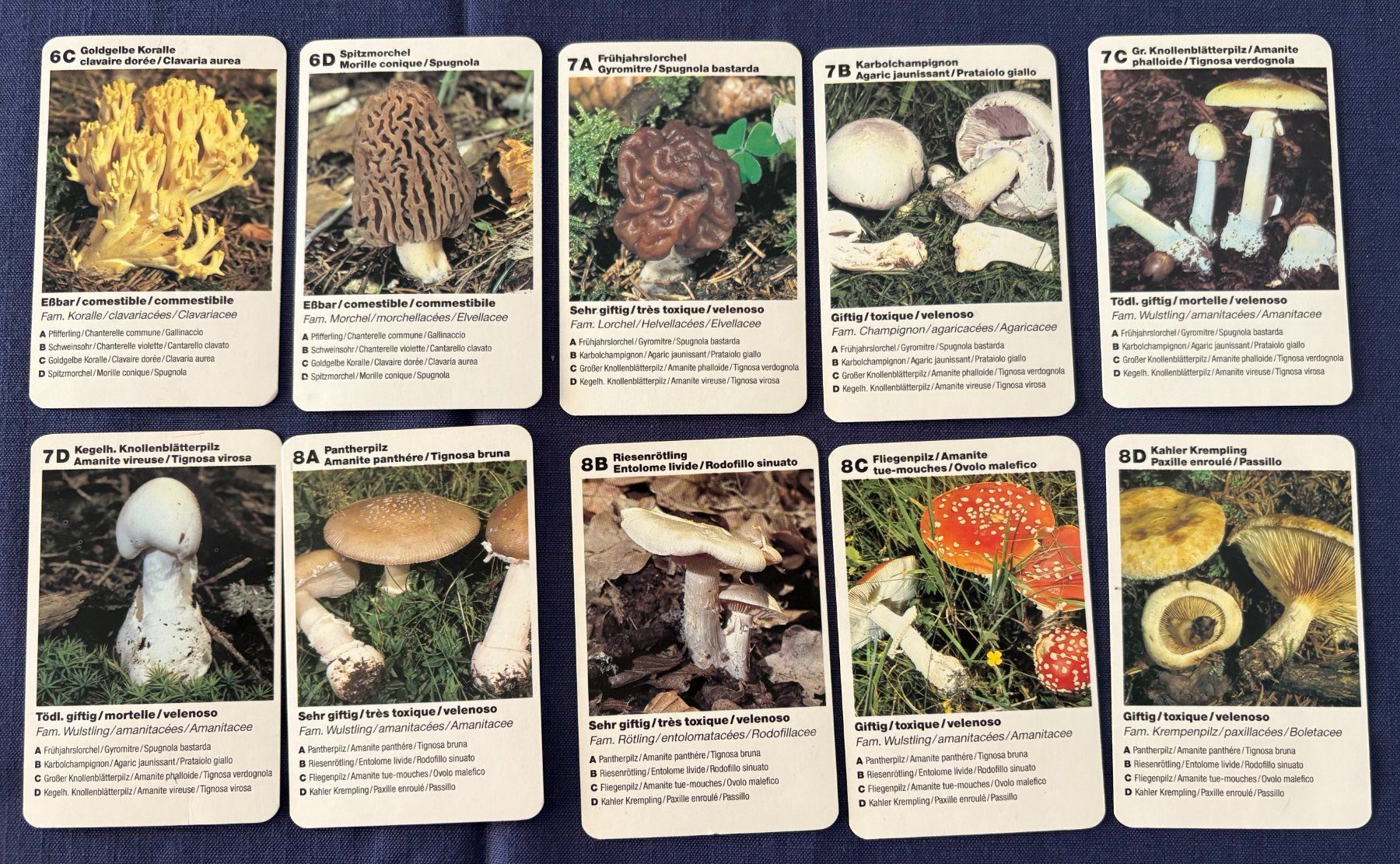 Spiele: QUARTETT PILZE – Gebraucht aus Ostermundigen von wini63 3