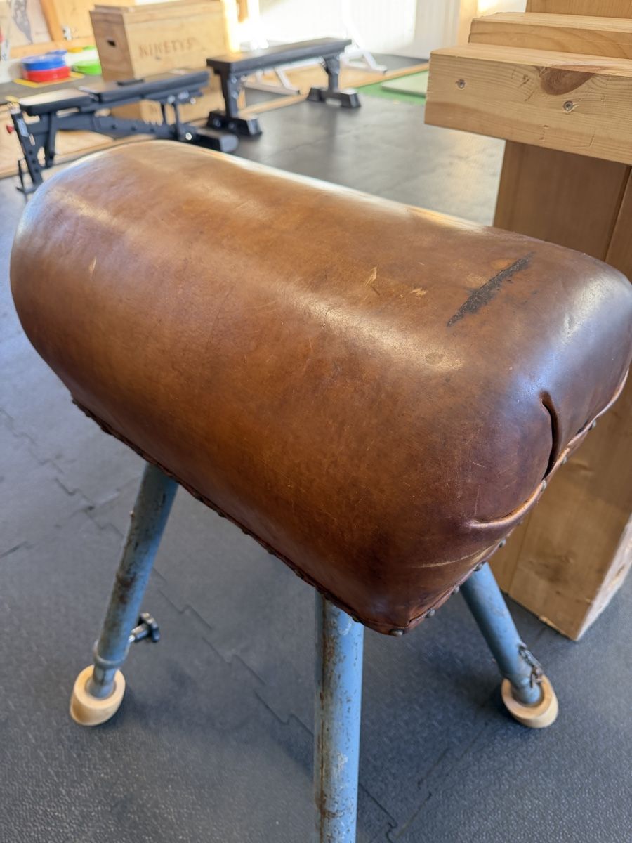 Hocker: Springpferd/ Pommel Horse – Gebraucht aus Wöschnau von Nicaj 1