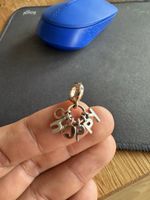 Pandora Charm Anhänger Glücksbringer Top!