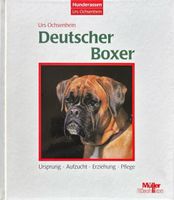 Deutscher Boxer