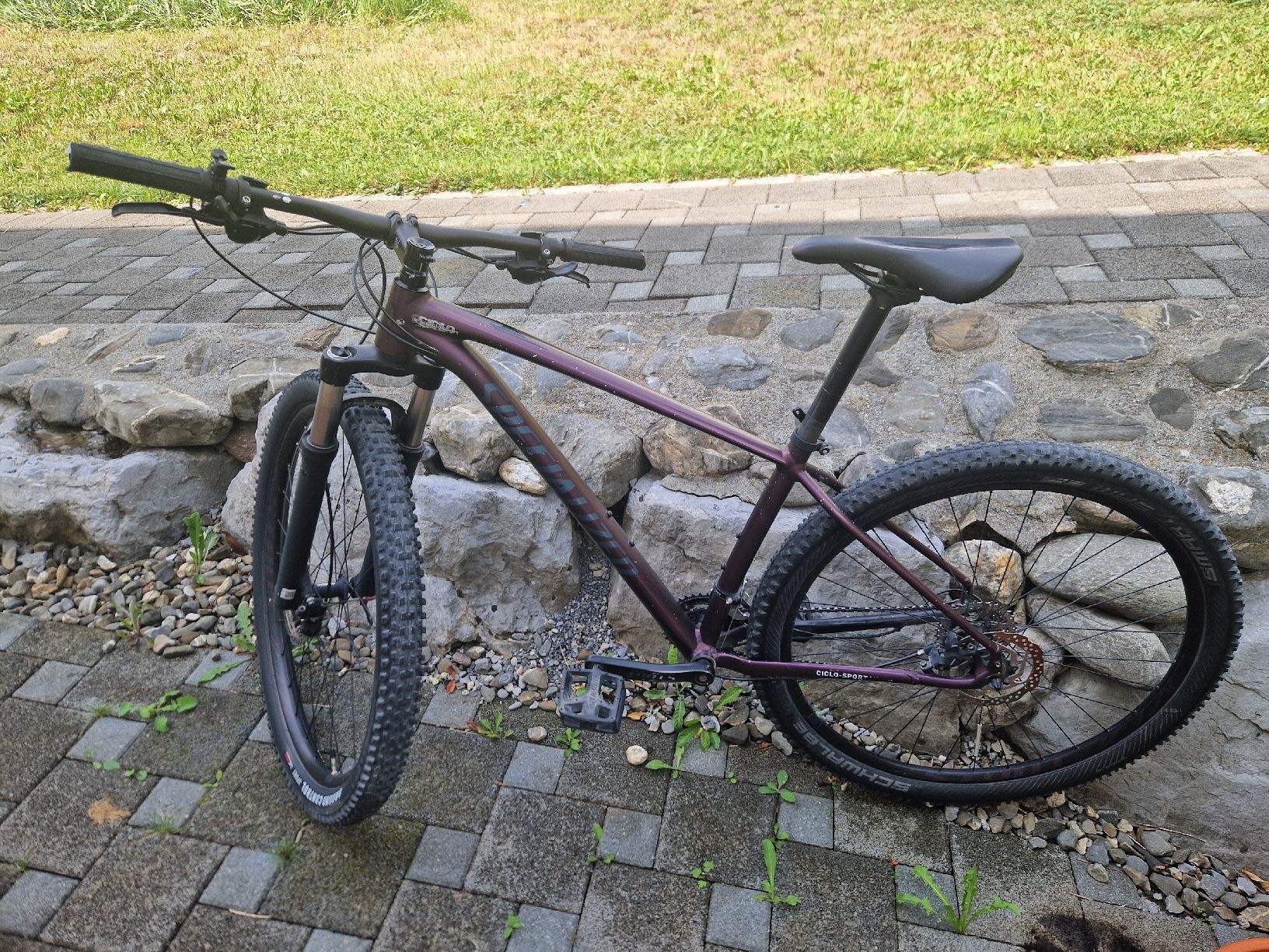 Specialized Velos: Specialized Rockhopper Comp 29 Zoll. – Gebraucht aus Mollis von Clodi2