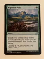 1 x Migration Path - Magic: The Gathering - MtG
