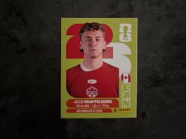 Panini Sticker CAN 14, Kanada WM 2026