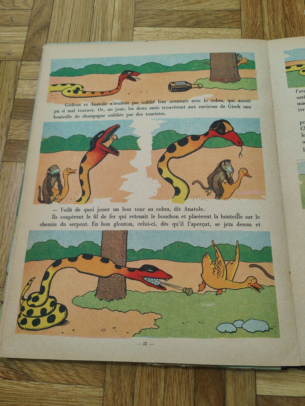 Fumetti: Gédéon en Afrique - Bejamin Rabier – Usato da Roche VD venduto da Octave75 4