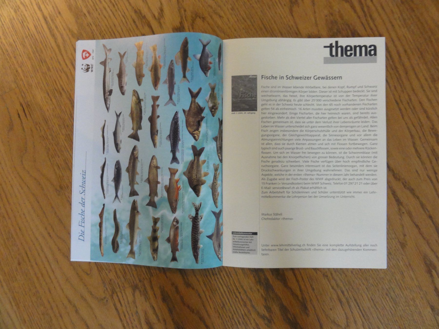 Riviste & Magazine: Fische in Schweizer Gewässern, thema Heft – Nuovo (secondo la descrizione) da Riedholz venduto da Taweva 2