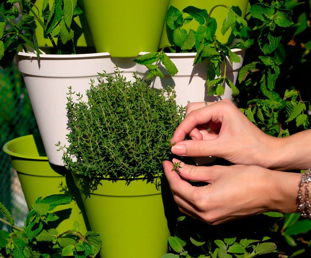 Blumentöpfe: Poty S Kit Smart Gardening – Neu und originalverpackt aus Dietlikon von Salesmax 5