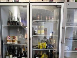 Lagerkühlschrank Edelstahl ECO - 400 Liter - mit 1 Glastür
