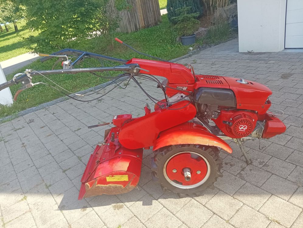 Einachser Honda F810 Kaufen auf Ricardo