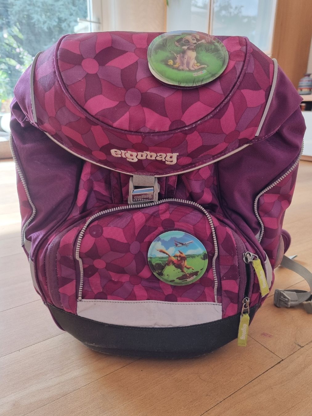Borse & Zaini: Ergobag Schulrucksack mit austauschbaren Hundeemblemen – Usato da Basel venduto da ste_2lg2