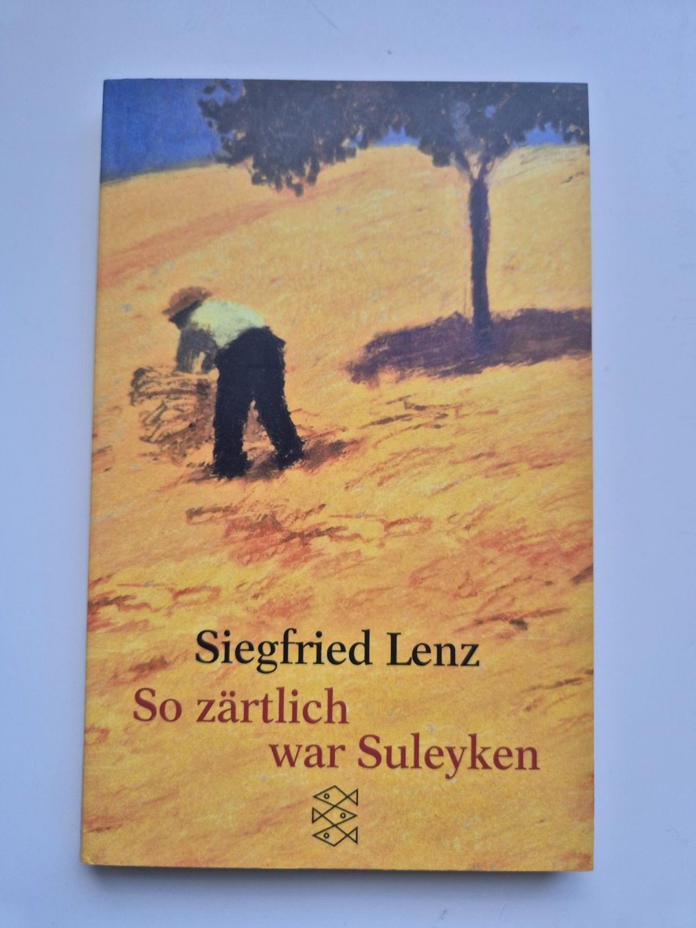 Libri: So zärtlich war Suleyken          Siegfried Lenz – Usato da Niederweningen venduto da Obson