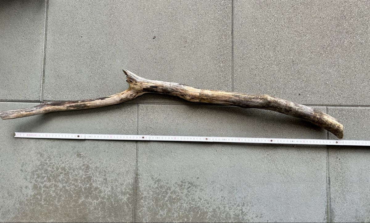 Articoli in legno: Schwemmholz Ast 102 cm lang – Nuovo (secondo la descrizione) da St. Urban venduto da uschi73 1