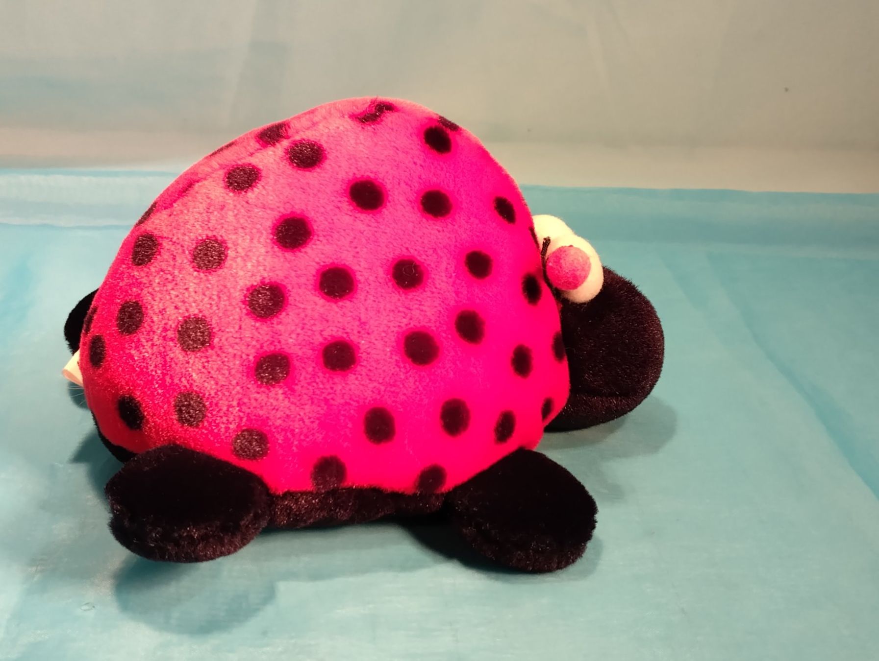 Giocattoli: Mordillo Marienkäfer, L: 20cm – Nuovo (secondo la descrizione) da Bellach venduto da JingleCherry 2